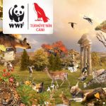 Türkiye'nin Canı - WWF