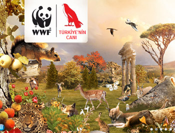 Türkiye'nin Canı - WWF